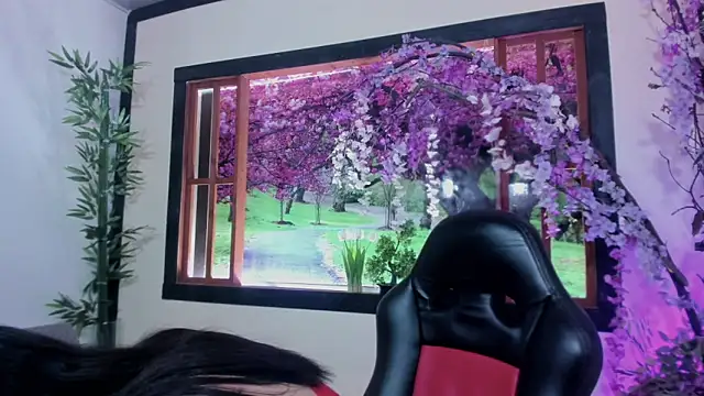 Susan DiSantys online show from February 11, 2025, 7:27 pm