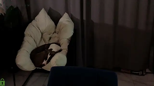 Eva Natsumi online show from January 14, 2026, 3:26 pm