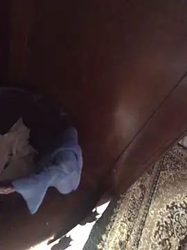 Snapshot of TangoingSorbet chatting on November 2, 2025, 10:20 am TangoingSorbet online show from November 2, 2025, 10:20 am