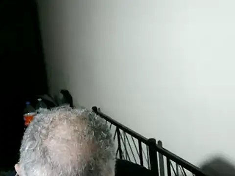 100Tauros online show from February 11, 2026, 10:53 pm