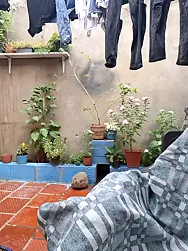 Snapshot of room_24funn chatting on November 29, 2025, 3:23 pm room 24funn online show from November 29, 2025, 3:23 pm