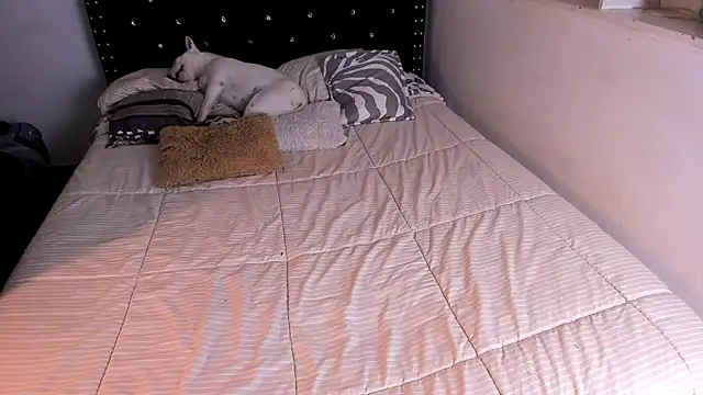 Snapshot of valerie_luxe_ chatting on June 4, 2026, 5:34 am valerie luxe online show from June 4, 2026, 5:34 am