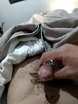 dantaradinho online show from April 19, 2026, 9:54 am