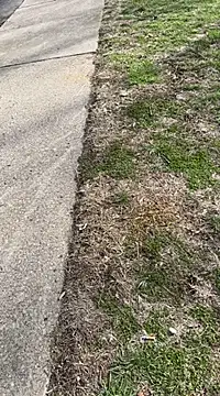 Esauhot online show from February 25, 2025, 7:06 pm