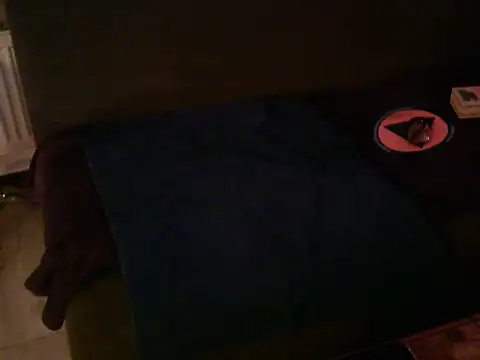 Snapshot of Hornybiboy66 chatting on January 30, 2025, 8:31 pm Hornybiboy66 online show from January 30, 2025, 8:31 pm