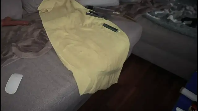 Snapshot of swissMen_DE chatting on February 19, 2025, 8:22 am swissMen DE online show from February 19, 2025, 8:22 am