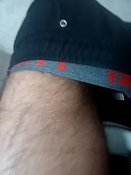 littlehornysons online show from January 21, 2025, 12:57 am