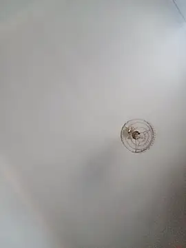 katymojadit online show from January 20, 2025, 3:28 pm