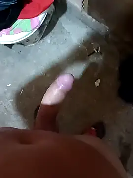 RS1995Poa1 online show from February 7, 2025, 6:56 pm