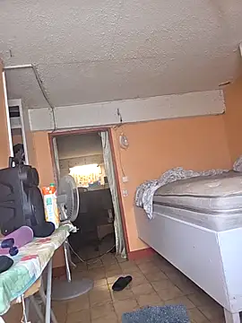 Papii97150 online show from February 23, 2026, 8:09 pm