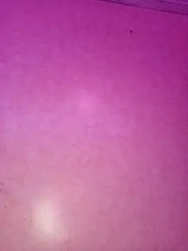 ---sophia--- online show from November 21, 2025, 11:04 pm