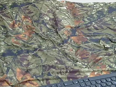 berbie  online show from October 2, 2025, 4:10 pm