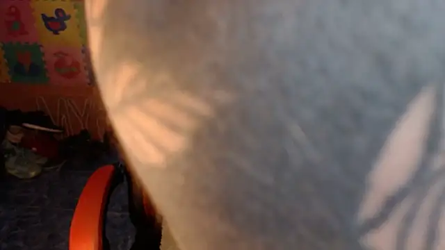 dannafitness online show from March 6, 2026, 8:04 pm