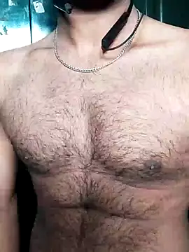 ChestFeast online show from January 8, 2025, 7:55 am