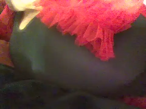 Snapshot of RoxiRedXXX chatting on March 8, 2025, 5:01 pm RoxiRedXXX online show from March 8, 2025, 5:01 pm