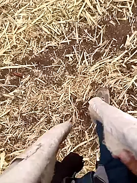 murokkk31 online show from October 21, 2025, 4:56 am