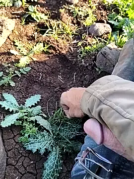 murokkk31 online show from April 14, 2026, 1:49 pm