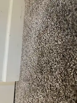 Big-dick 1 online show from December 15, 2024, 3:20 pm