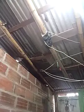 Alanagracia online show from October 17, 2025, 11:01 am