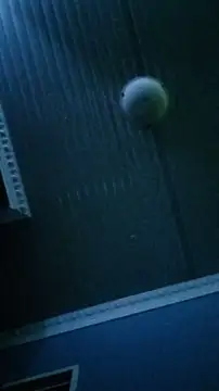 Dickey sa online show from February 13, 2026, 8:31 pm