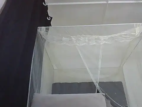 Snapshot of mummie_Nasty254 chatting on November 22, 2025, 9:57 pm mummie Nasty254 online show from November 22, 2025, 9:57 pm