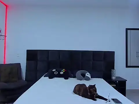 Alexander Martines online show from January 12, 2026, 11:31 pm