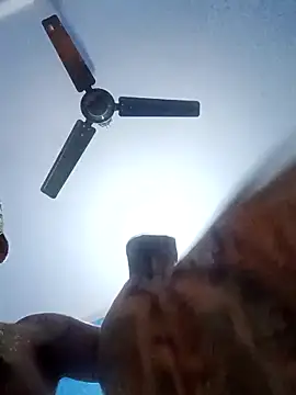 dombbcking online show from February 5, 2026, 4:41 am