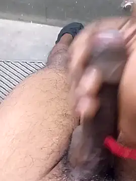 dombbcking online show from December 11, 2024, 12:23 pm