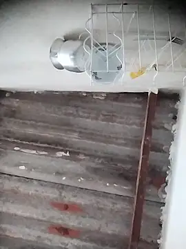 AlexaWarner online show from December 20, 2025, 6:22 pm