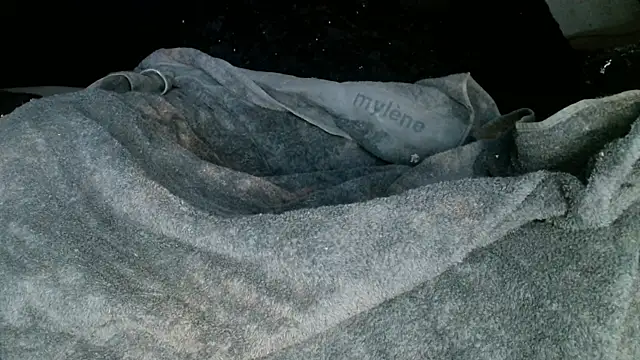 Snapshot of Gigadickman chatting on March 2, 2025, 5:12 am Gigadickman online show from March 2, 2025, 5:12 am