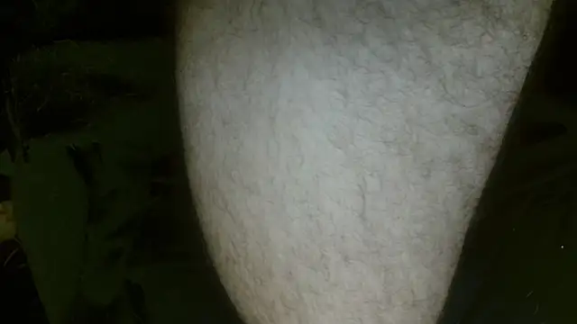 Snapshot of Gigadickman chatting on February 27, 2025, 1:30 am Gigadickman online show from February 27, 2025, 1:30 am