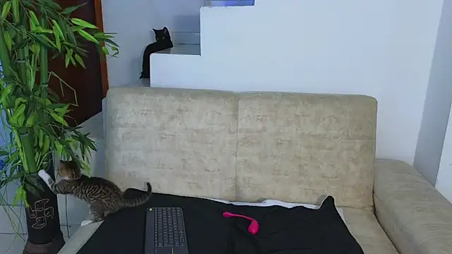 Snapshot of Lorenne_Miller chatting on October 21, 2025, 3:39 am Lorenne Miller online show from October 21, 2025, 3:39 am