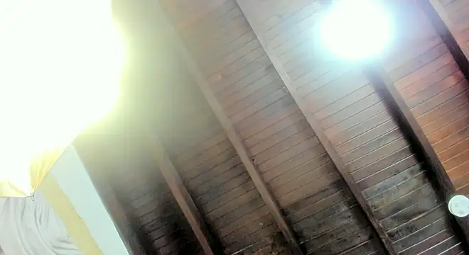 ariana-martins online show from March 6, 2025, 3:57 am