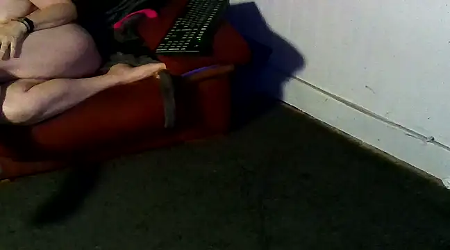 cplf2024 online show from February 26, 2025, 12:41 am