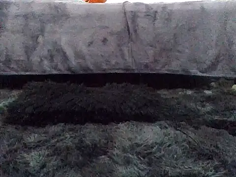 Gibbzmx online show from September 19, 2025, 6:56 pm