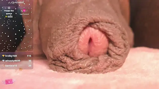 CharlotteLauren online show from March 9, 2025, 9:57 pm