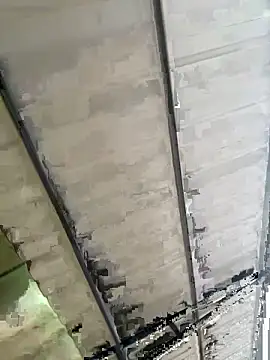 eva y marcelo online show from November 3, 2025, 11:14 am