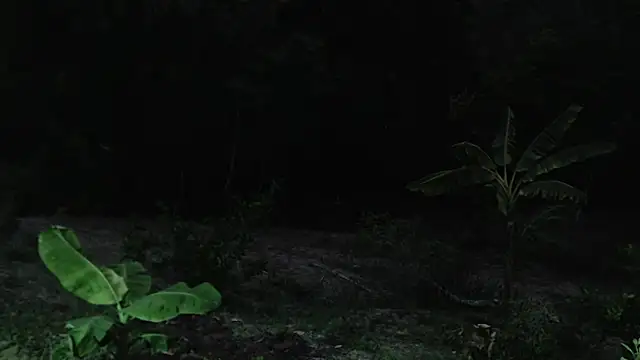 andreu mature online show from October 1, 2025, 11:08 pm