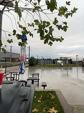 Snapshot of baramadalin chatting on December 1, 2025, 5:52 am baramadalin online show from December 1, 2025, 5:52 am