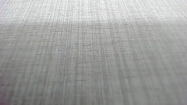 AishaRouhi online show from March 4, 2026, 5:15 am