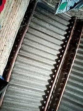 Lukas strong online show from September 8, 2025, 3:00 pm