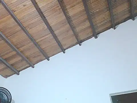 tifany19  online show from September 12, 2025, 4:01 am