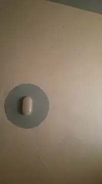 C-yoyo online show from February 26, 2025, 4:19 am