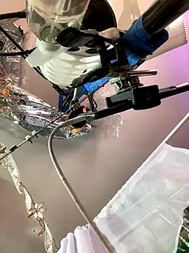 gurlnips online show from November 26, 2025, 6:35 am