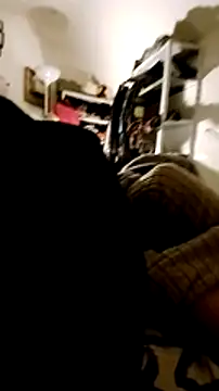 SInfiniSensation1 online show from January 1, 2025, 11:18 pm