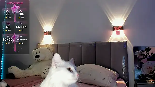 diana nier online show from September 8, 2025, 7:35 pm