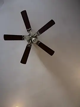 ThicBunz online show from February 9, 2026, 2:15 pm