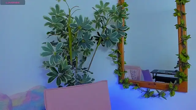 ShegoBlake online show from March 9, 2026, 12:47 am