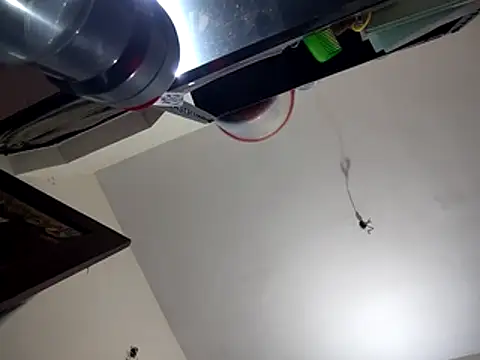 bigvorn6 online show from March 29, 2026, 6:26 am