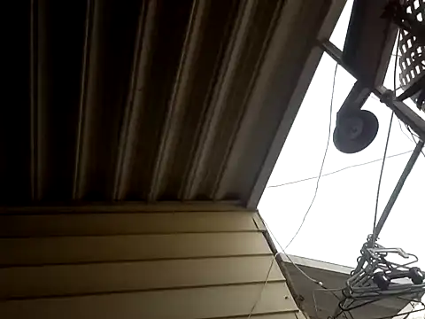 luke thighwalker2469 online show from September 19, 2025, 1:09 am